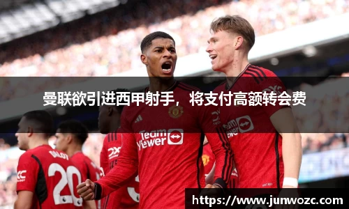 bsports登录入口