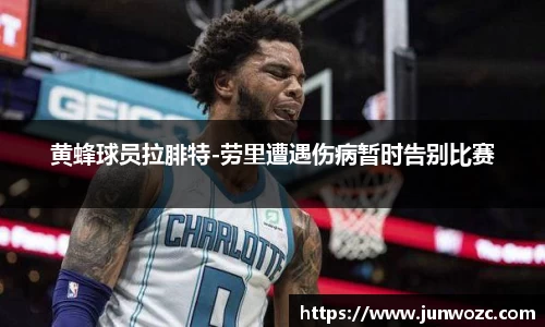 bsports官网登录入口