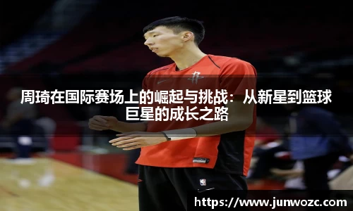 bsports登录入口